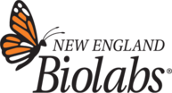 New England Biolabs