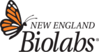 Logo New England Biolabs